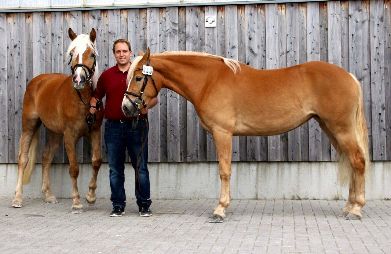 v.l.n.r.: Piccara v. Werino und Seraphina v. Werano-Gold