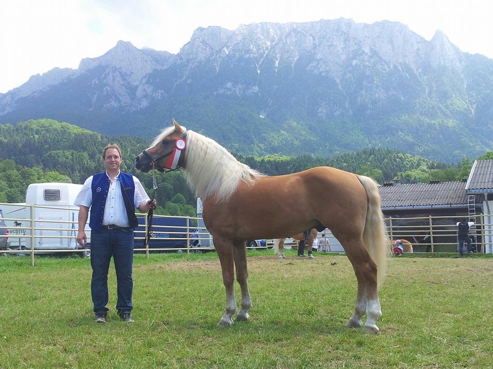 Weltausstellung 2015 in Ebbs