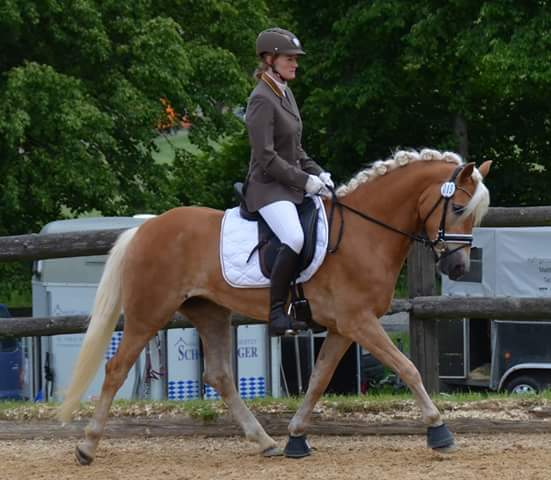 Beauty bei der Leistungspr&uuml;fung 2016