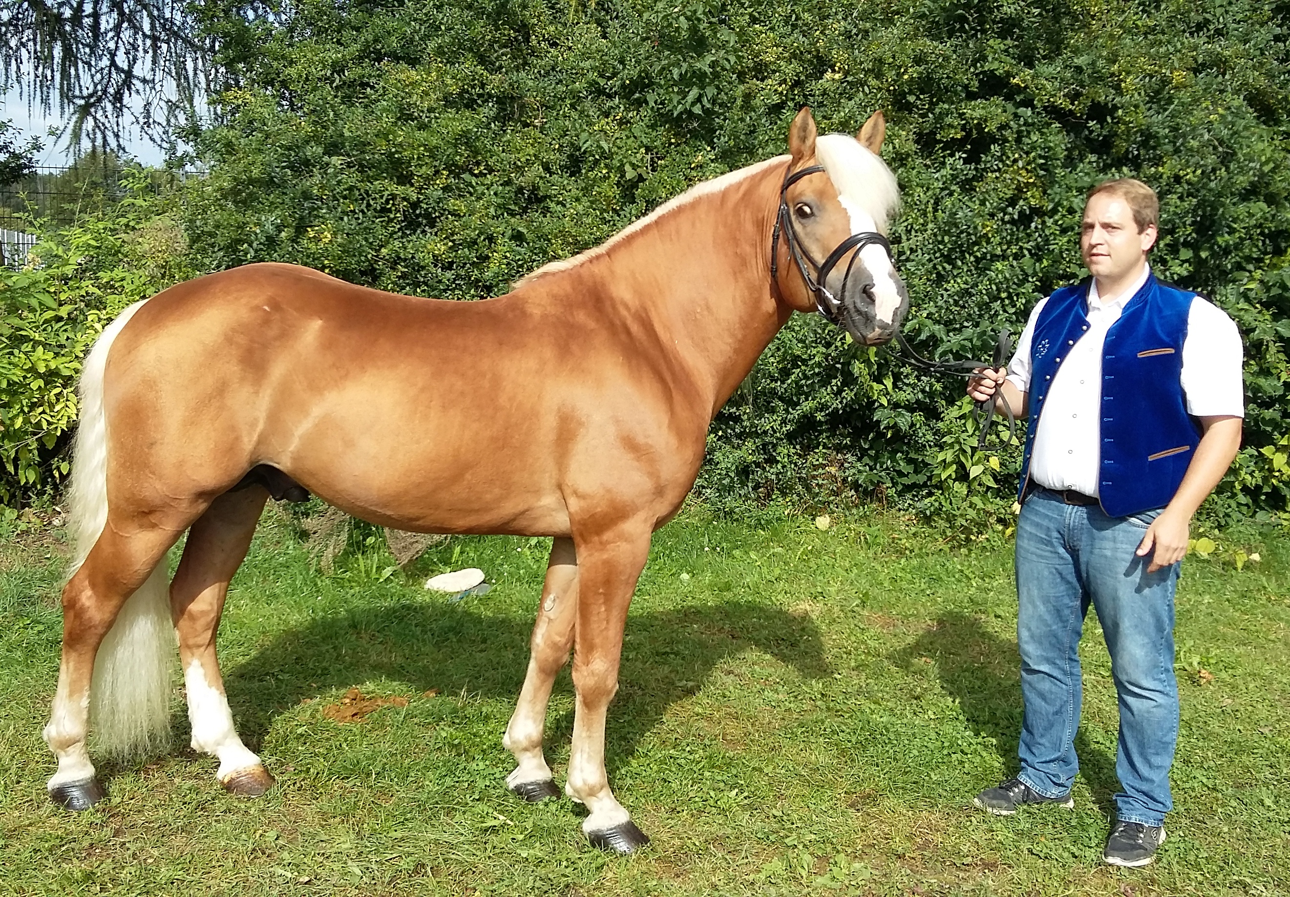 Werano-Gold im August ´16