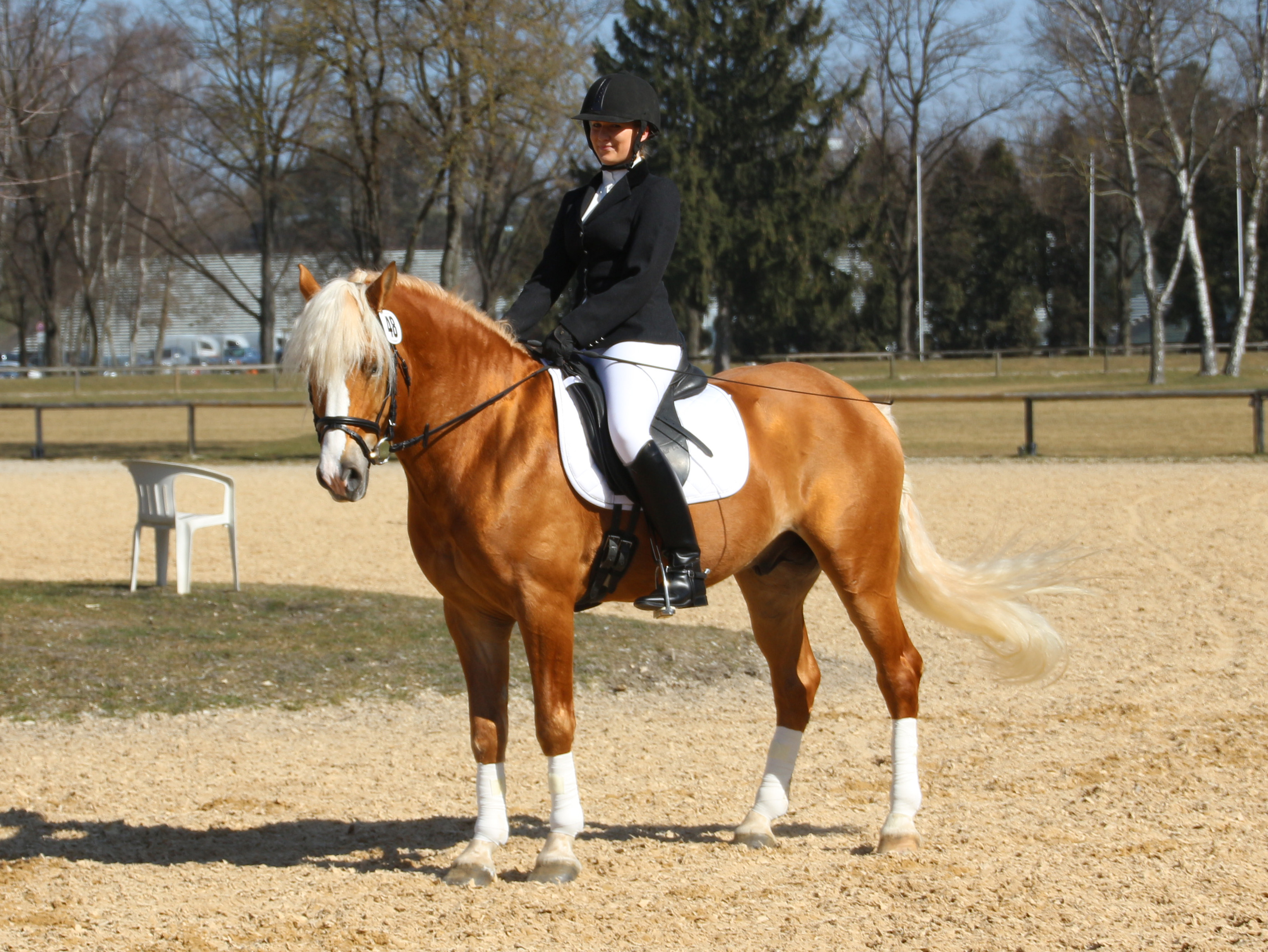 Werano-Gold mit seiner Reiterin Selina Geiger